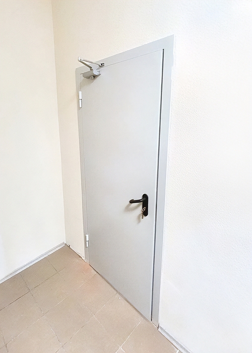 Глухая одностворчатая дверь