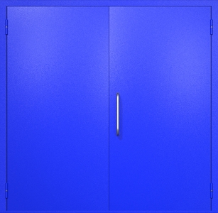 Двупольная техническая дверь RAL 5002 (ручка-скоба)