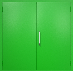 Двупольная техническая дверь RAL 6038 (ручка-скоба)