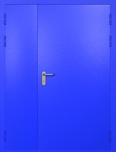 Полуторная противопожарная дверь eis60 RAL 5002