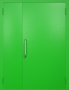 Полуторная техническая дверь RAL 6038 (ручка-скоба)